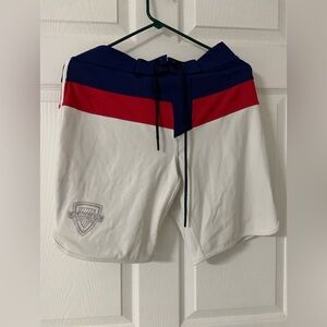 ALPHALETE Patriotic Striped TITAN SERIES Swim Board Shorts